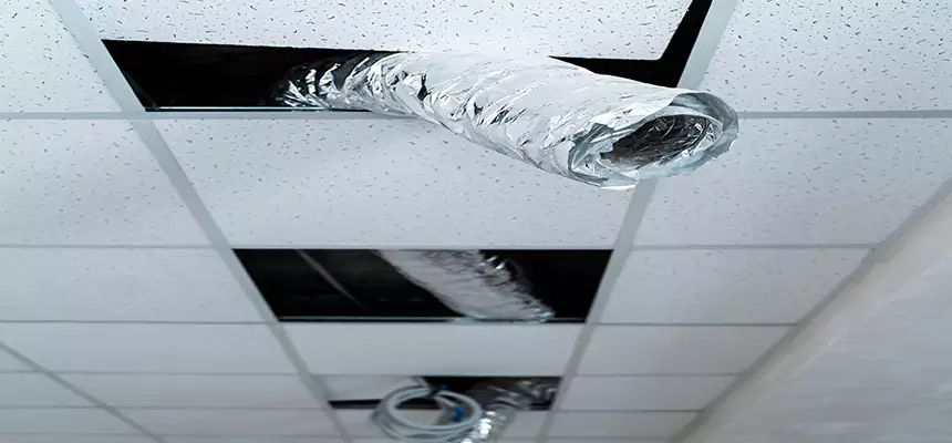 Affordable HVAC Sanitizing After Pest Removal in West Covina