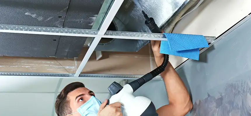 Our Air Duct Rodent Removal Services in West Covina, CA