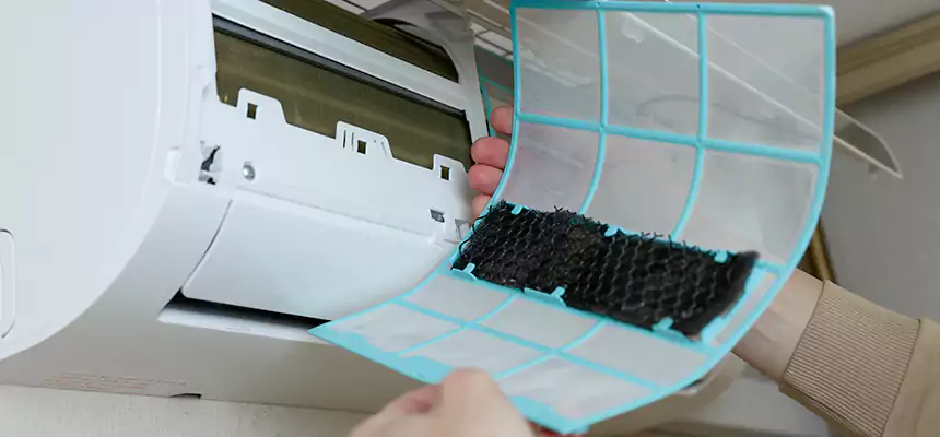 Gentle Ductwork Odor-Control Pet Dander Duct Cleaning in West Covina, CA