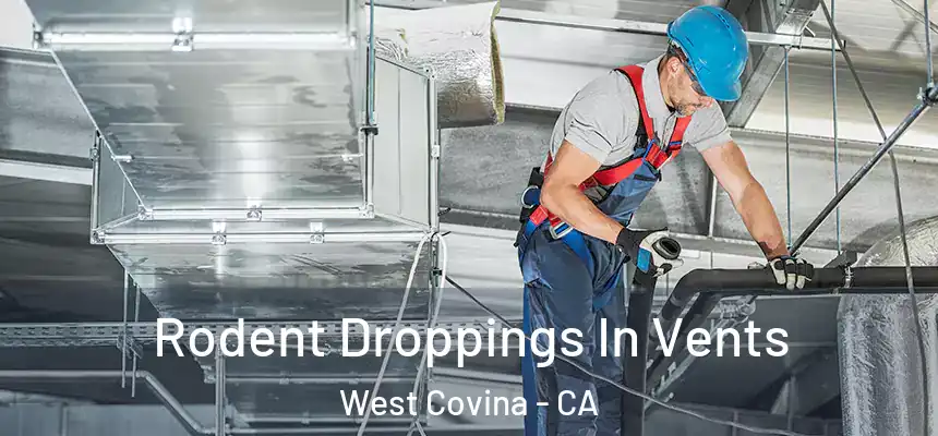 Rodent Droppings In Vents West Covina - CA