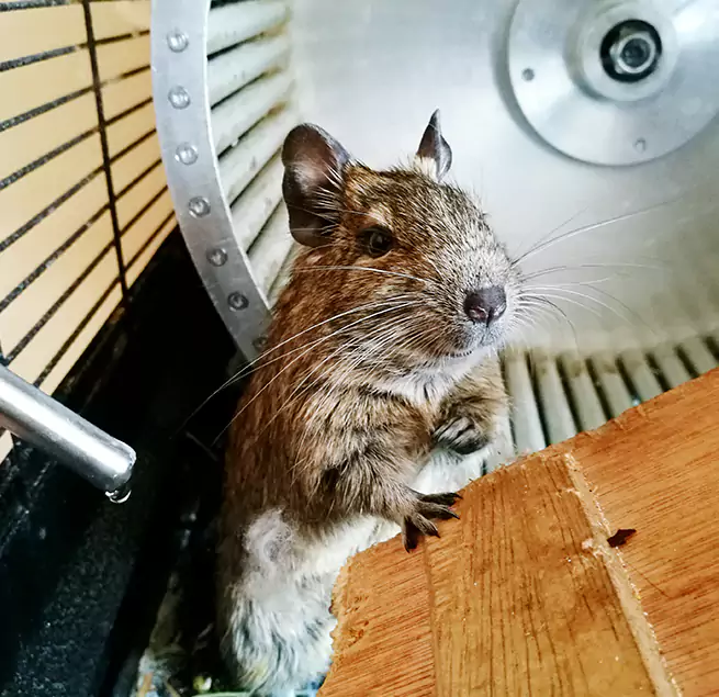 Why Homeowners & Businesses Trust Us West Covina, CA